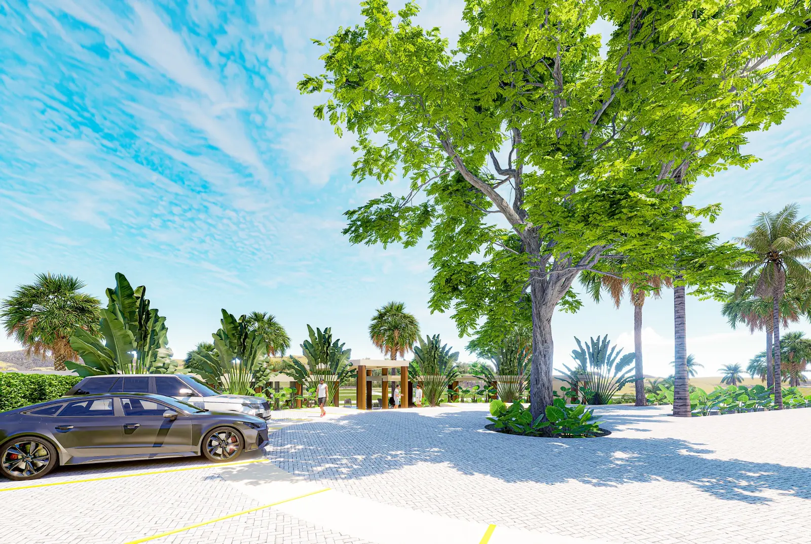 Acceso y parqueaderos de Veranorte con palmeras
